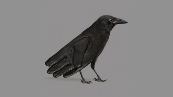 ¿EN QUÉ DESTACAS O QUÉ CARECES? EL TEST VIRAL 2023 QUE TE DEJARÁ “BOQUIABIERTO”