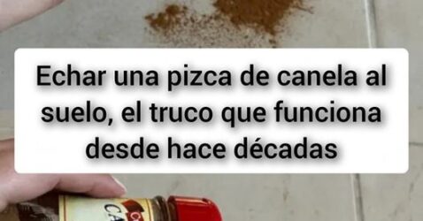 Echar una pizca de canela al suelo, el truco que funciona desde hace décadas