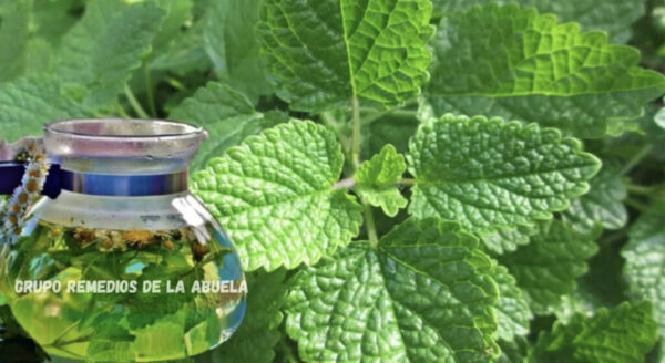 Hierbabuena con limón