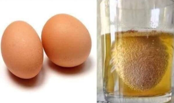 Huesos y articulaciones gracias al huevo