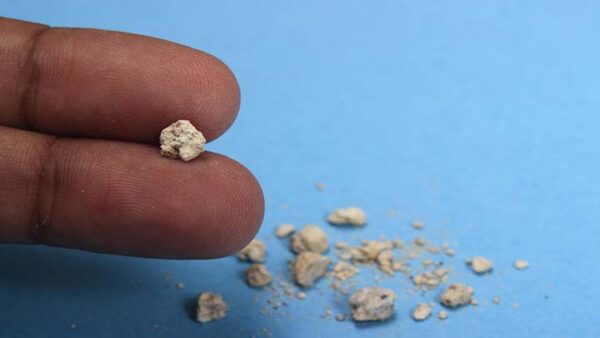 Jugo natural para expulsar las piedras de los riñones