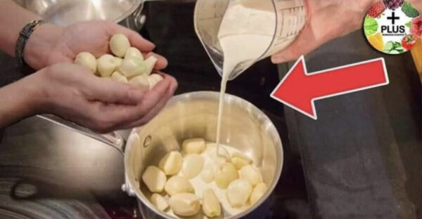 La leche y el ajo para el CORAZÓN, CIATICA, el insomnio, DIGESTIÓN, COLESTEROL, la tos y la artritis