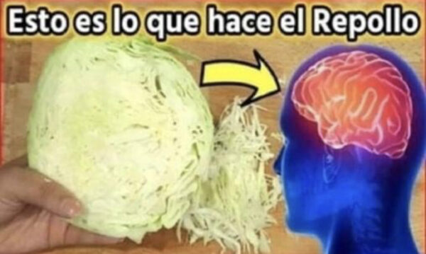 NO HAGAS ENSALADA DE REPOLLO O COL ANTES DE VER ESTO