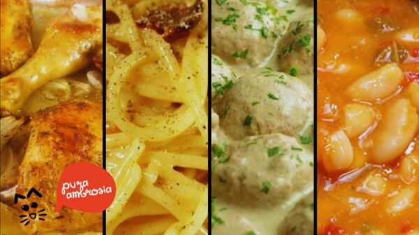 RECETAS DE COMIDA PARA LLEVAR AL TRABAJO