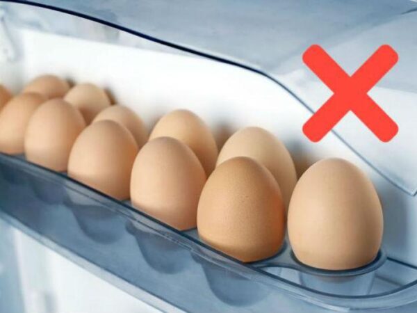 ¿SABÉS POR QUÉ GUARDAS LOS HUEVOS EN EL REFRIGERADOR?