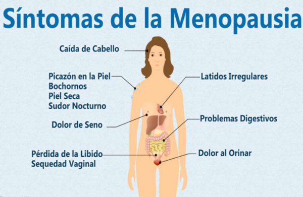 SÍNTOMAS DE LA MENOPAUSIA Y REMEDIOS NATURALES.
