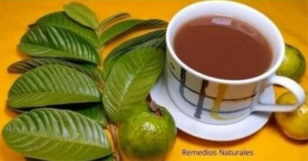 Solo tómalo 2 veces