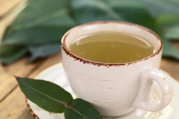 Té de eucalipto: para qué sirve, beneficios y cómo preparar