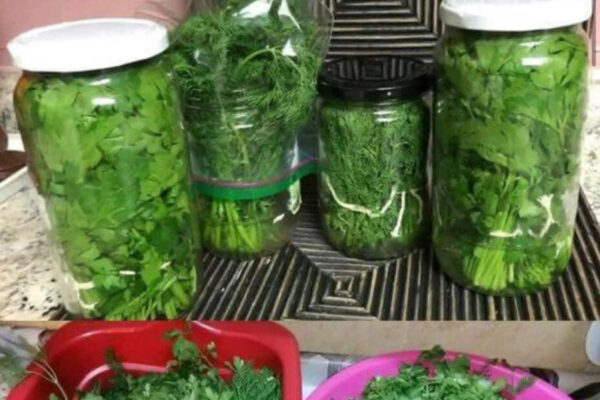 TRUCO PARA QUE EL PEREJIL SE CONVERVE POR MUCHO TIEMPO FRESCO