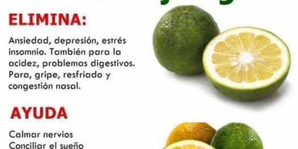 Te de cáscara de naranja agria