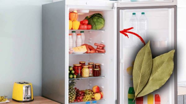 ¿Una hoja de laurel en la nevera? Mi abuela siempre lo hacía. He aquí por qué y cómo.