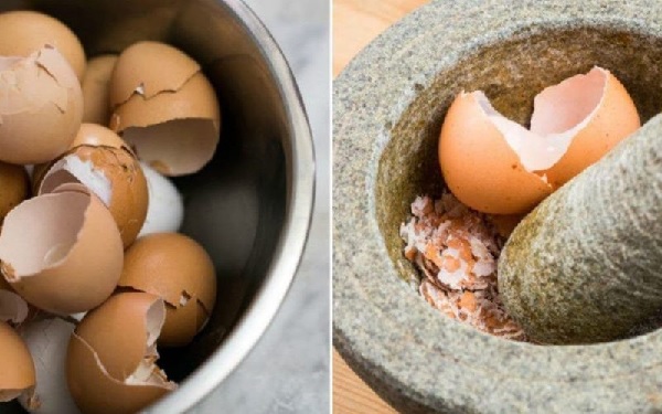 10 Utilisations ingénieuses des coquilles d’œufs pour la maison et le jardin