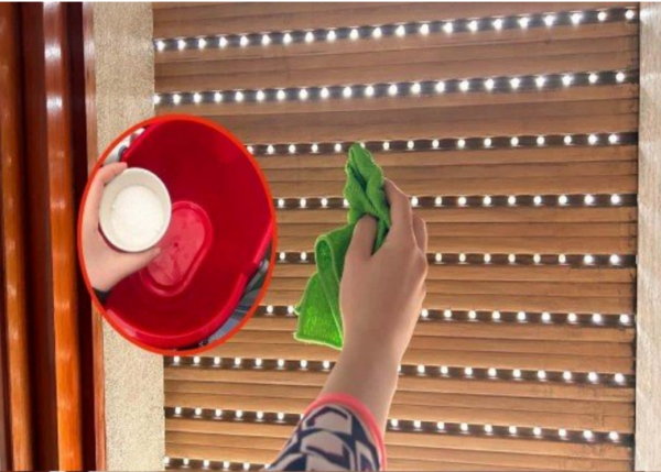 12 façons intelligentes de chasser les souris et les rats de votre maison