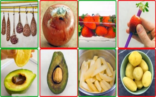 15 conseils pour éviter le gaspillage et conserver le plus longtemps possible vos 15 fruits et légumes