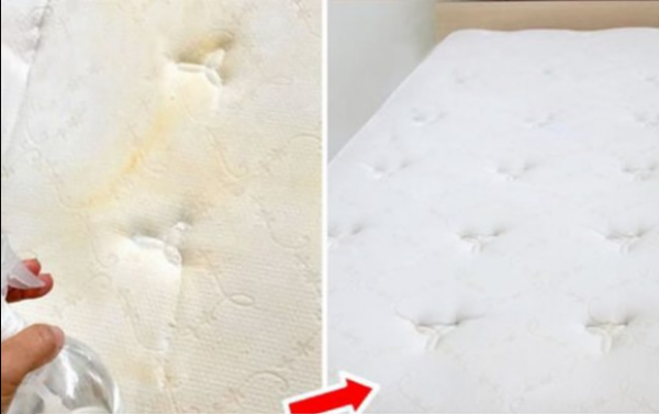 2 astuces efficaces pour blanchir matelas et oreillers sans utiliser d’eau de Javel