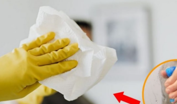 2 astuces les plus efficaces pour nettoyer les fenêtres et les miroirs à la maison sans laisser de traces