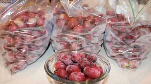 27 Choses Que Vous Pouvez Congeler Pour Économiser du Temps et de l’Argent !