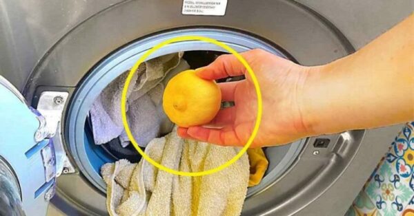 4 Techniques pour parfumer les serviettes sorties du lave linge et éviter qu’elles ne sentent mauvais