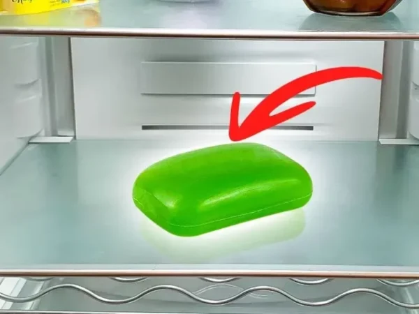 4 astuces pour parfumer votre réfrigérateur