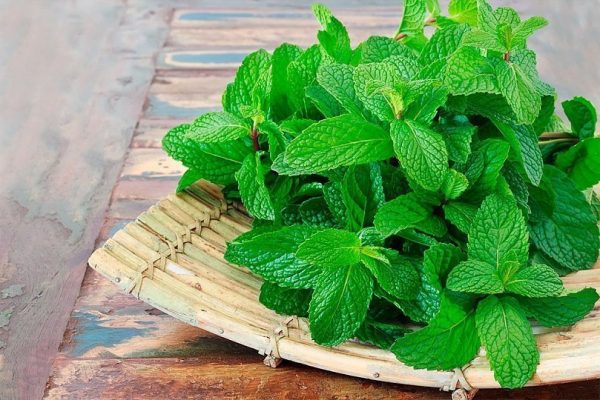 5 Utilisations Inattendues de la Menthe