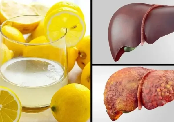 5 boissons à boire avant de dormir pour nettoyer le foie et brûler les graisse