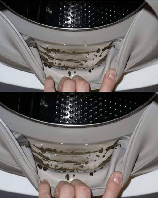 7 Fautes de Lavage en Machine que Tout le Monde Fait