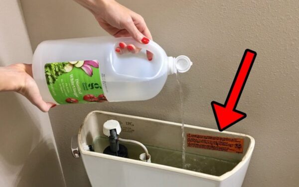 7 astuces d’hôtel pour avoir une salle de bain toujours impeccable et brillante