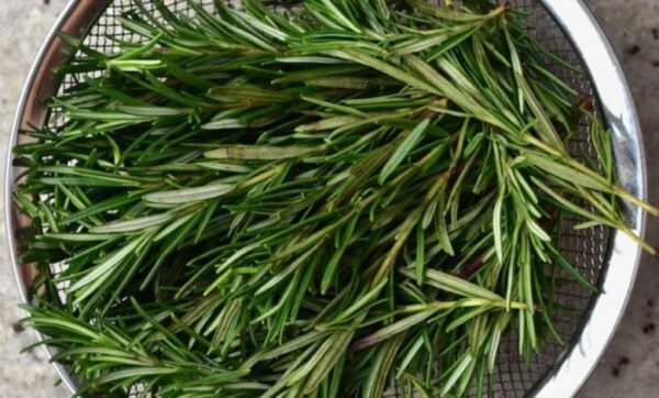 7 choses que vous pouvez faire si vous avez du romarin à la maison