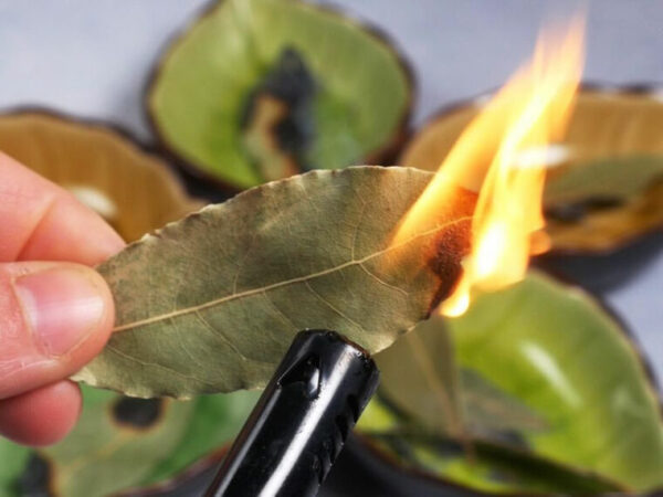 7 choses qui se produisent si vous brûlez une feuille de laurier tous les soirs à la maison