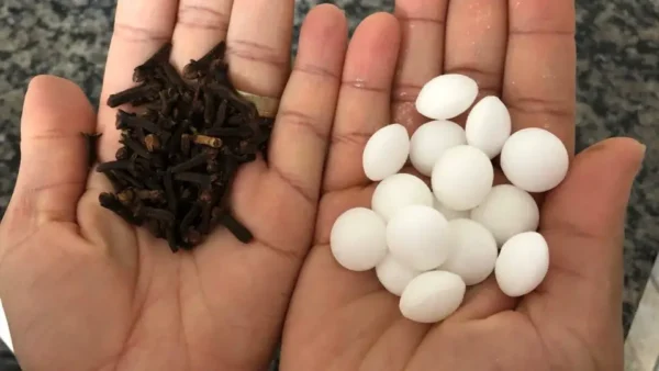 8 astuces pour éliminer les mauvaises odeurs dans la salle de bains et laisser un arôme agréable