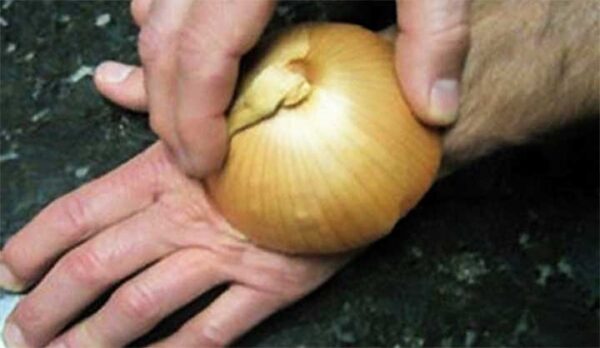 8 manières d’utiliser l’oignon à la maison