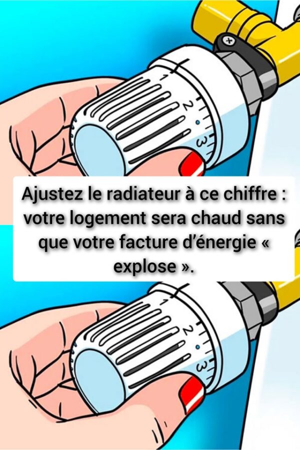 Ajustez le radiateur à ce chiffre : votre logement sera chaud sans que votre facture d’énergie « explose ».