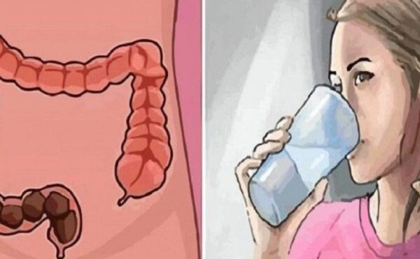 Apprenez à nettoyer 15 kilos de déchets de votre côlon le soir