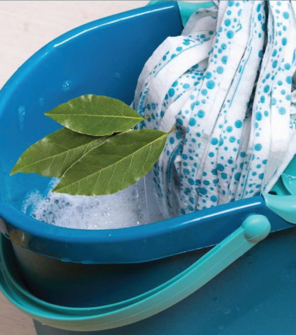 Avantages de l’utilisation de feuilles de laurier dans votre seau à vadrouille