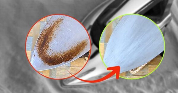 Avec ces 2 ingrédients, vous pouvez faire briller le fer noirci : Vous les avez chez vous