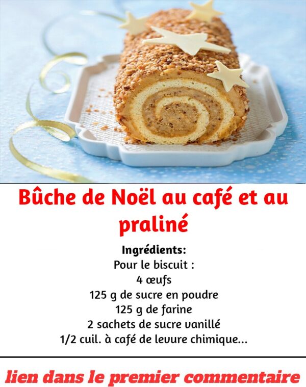 Bûche de Noël au café et au praliné