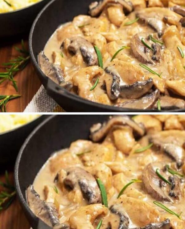 Blanquette de poulet aux champignons