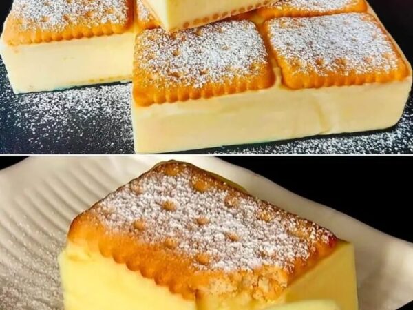 CARRÉS CRÉMEUX AUX BISCUITS