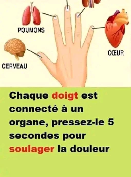 CHAQUE DOIGT EST CONNECTÉ À UN ORGANE, PRESSEZ-LE 5 SECONDES POUR SOULAGER LA DOULEUR