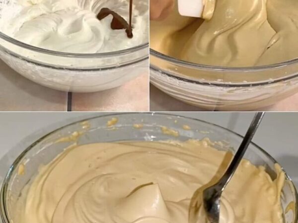 CRÈME AU CAFÉ AVEC SEULEMENT 3 INGRÉDIENTS