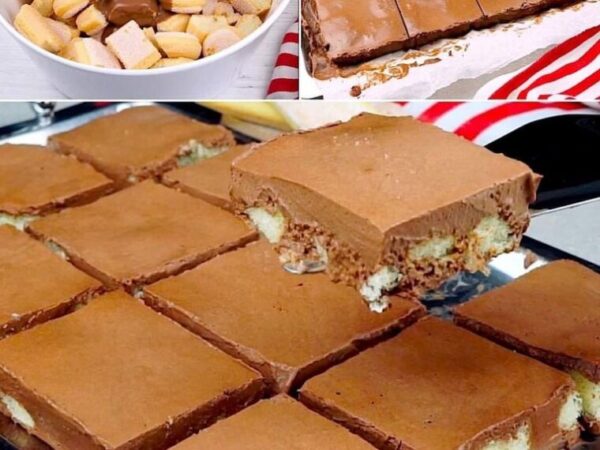 Carrés biscuits : le dessert gourmand pour surprendre tout le monde !