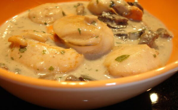 Cassolettes de Saint-Jacques à la Mozzarella