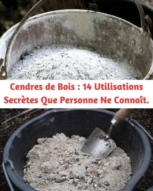 Cendres de Bois : 14 Utilisations Secrètes Que Personne Ne Connaît.