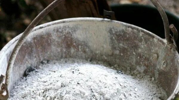 Cendres de Bois : 14 Utilisations Secrètes Que Personne Ne Connaît.