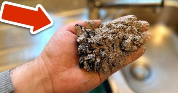 Cette ancienne méthode de nettoyage a plus de 100 ans – elle fonctionne parfaitement