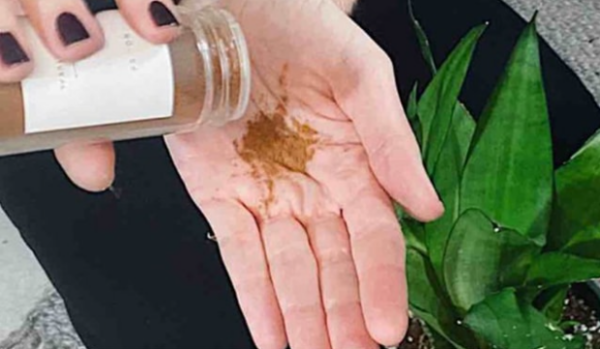 Cette épice fera pousser n’importe quelle fleur dans le balcon ou le jardin de manière luxuriante