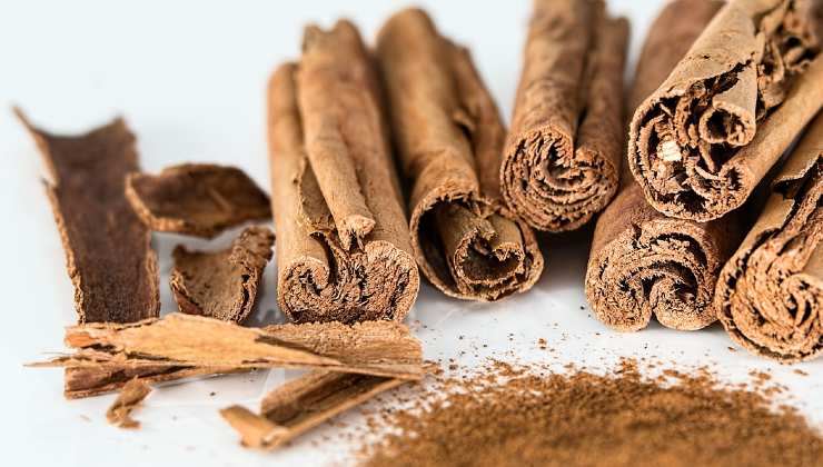 Épices cannelle pour chaque fleur du jardin