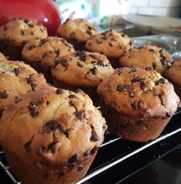 Chocolate chip muffins