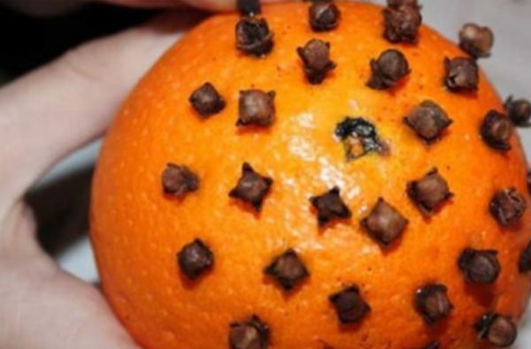 Clous de girofle dans l’orange : une astuce très utile à la maison