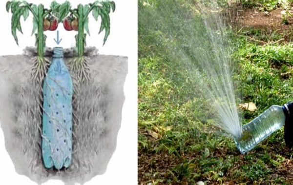 Comment Fabriquer un Arrosage Automatique Pour Tomates Avec une Bouteille